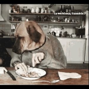 Meet your Posher, Patricia